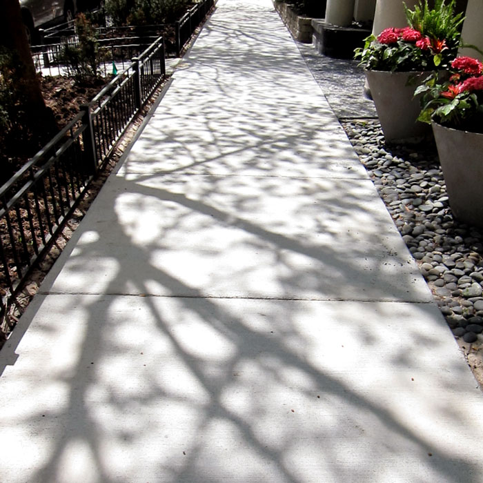 The sidewalks are beginning to fill up with the shadows of spring leaves.